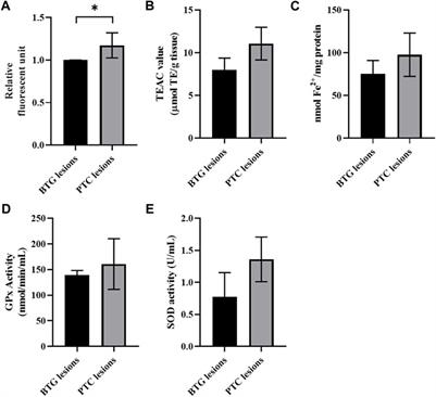 Changes in antioxidant status and DNA repair capacity are corroborated with molecular alterations in malignant thyroid tissue of patients with papillary thyroid cancer